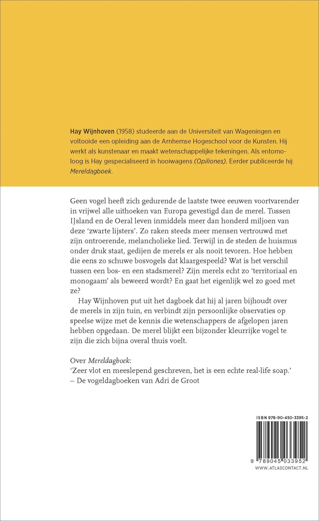 De merel - Hay Wijnhoven 2