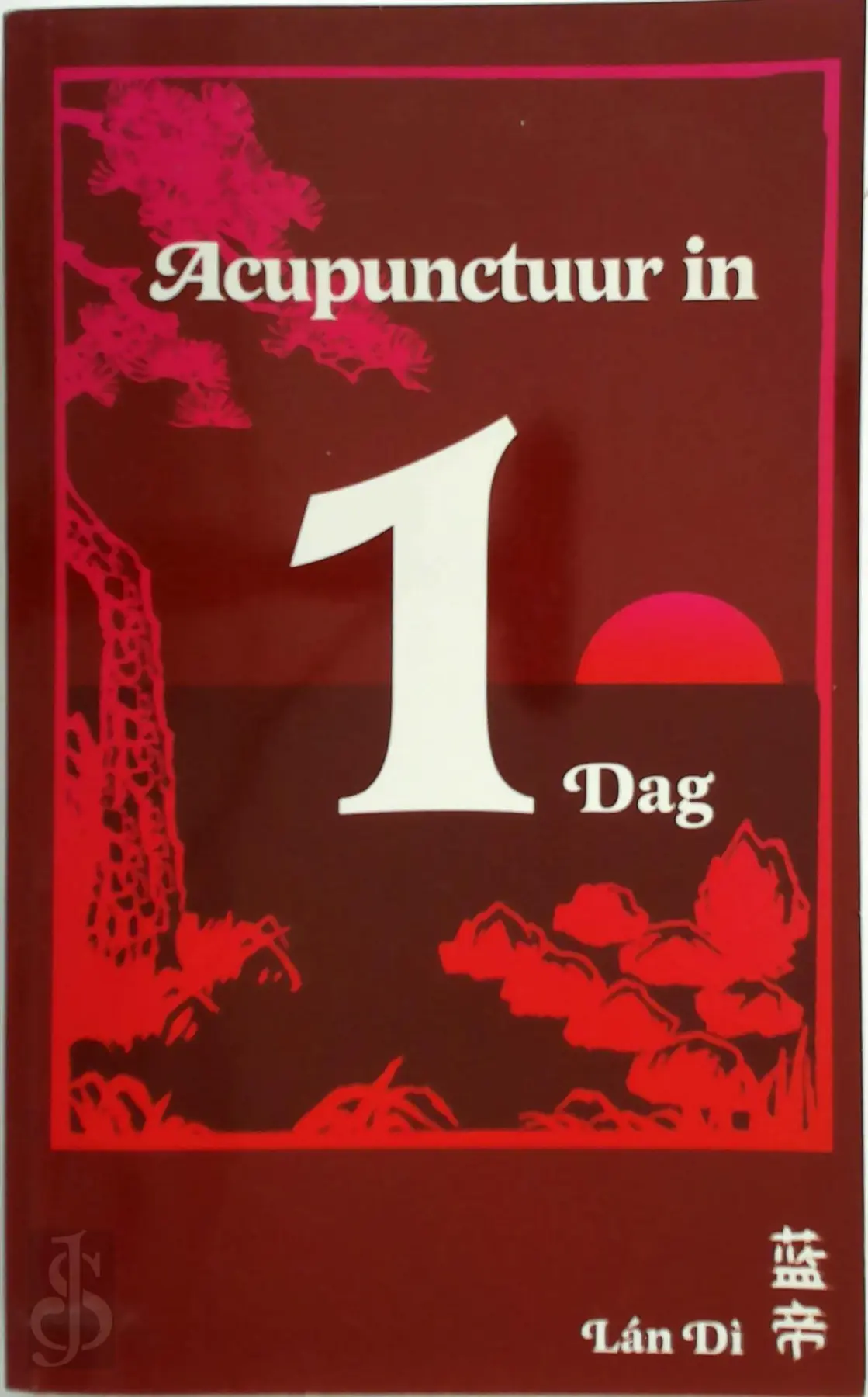 Acupunctuur in een dag - P.C. van Kervel 1