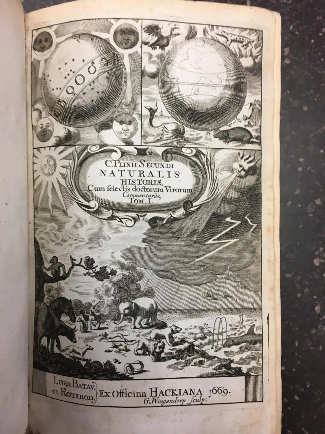 Naturalis historiae - Secundus Plinius 1