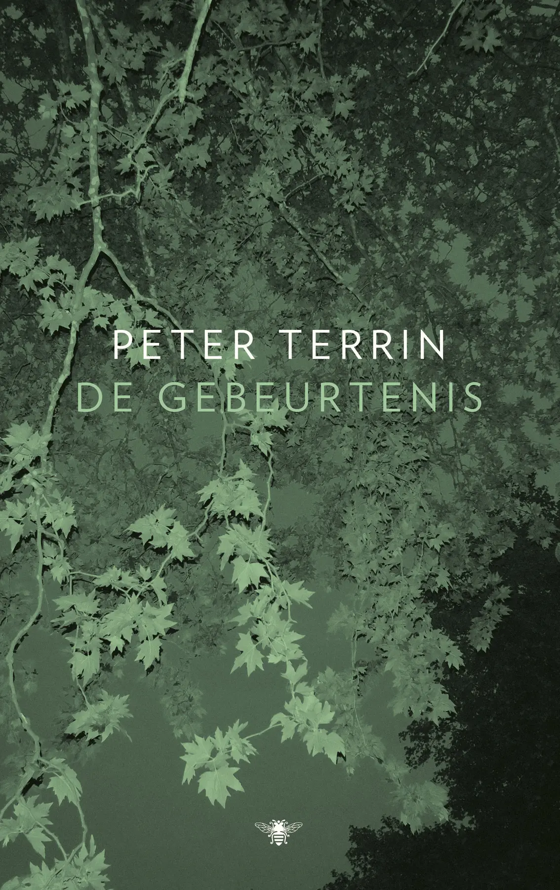 De gebeurtenis - Peter Terrin 1