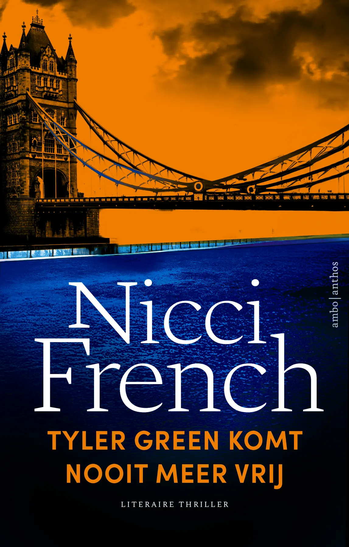 Tyler Green komt nooit meer vrij - Nicci French 1