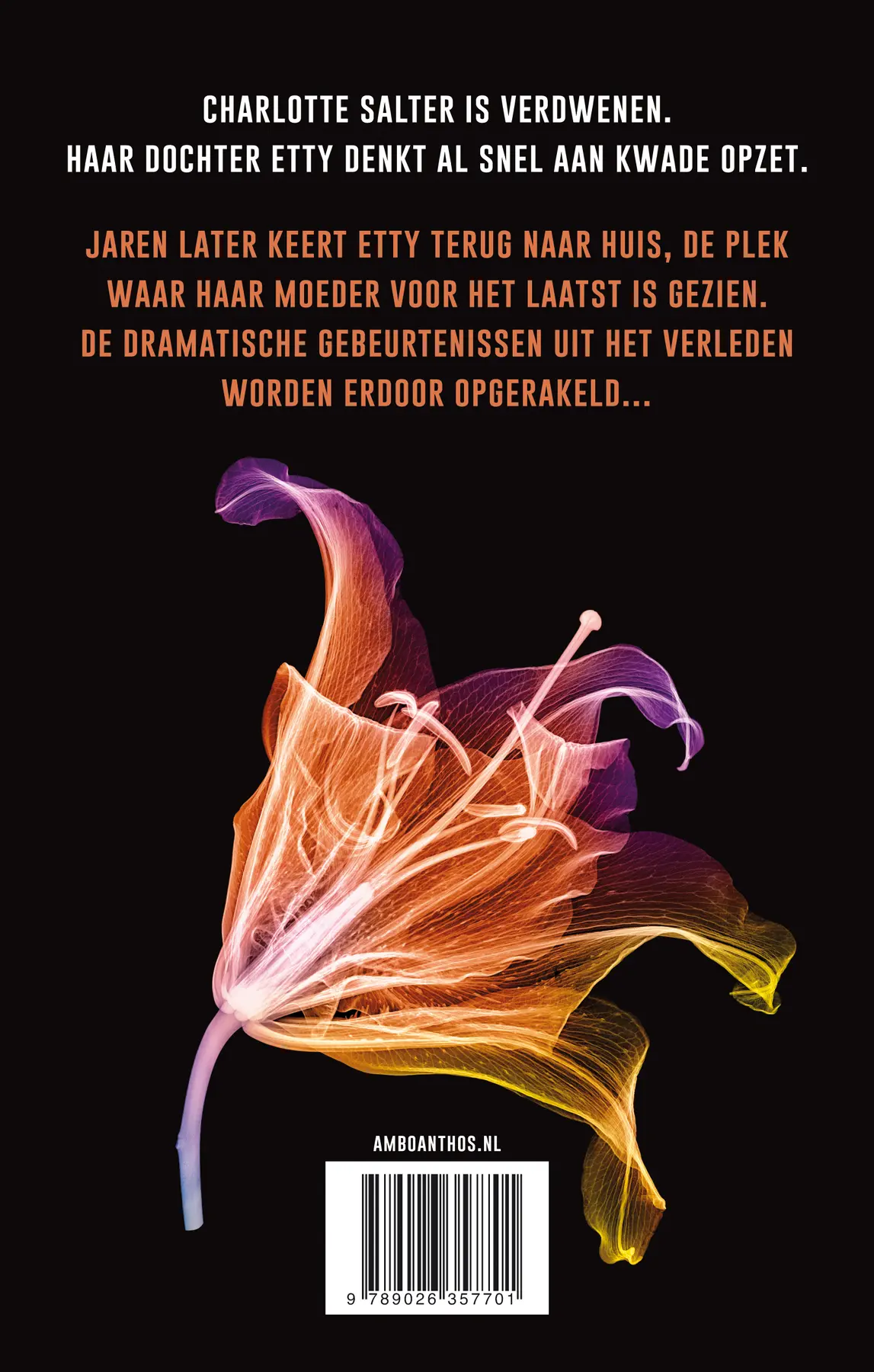 Heeft iemand Charlotte Salter gezien? - Nicci French 2