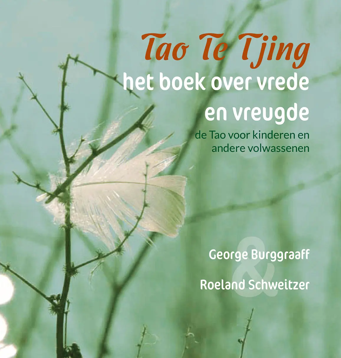 Tao Te Tjing, het boek over vrede en vreugde - Roeland Schweitzer 1