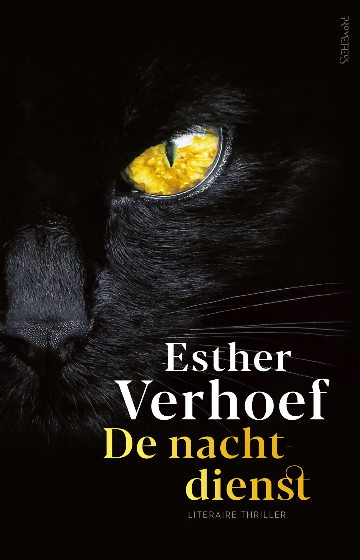 De Nachtdienst - Esther Verhoef 1