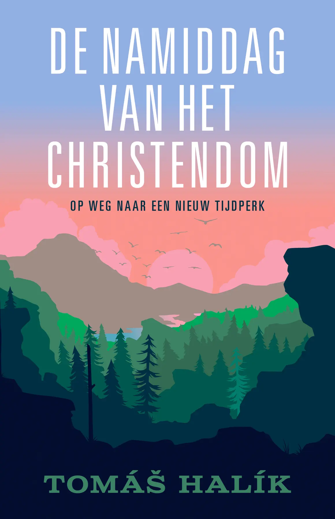 De namiddag van het christendom - Tomas Halik 1