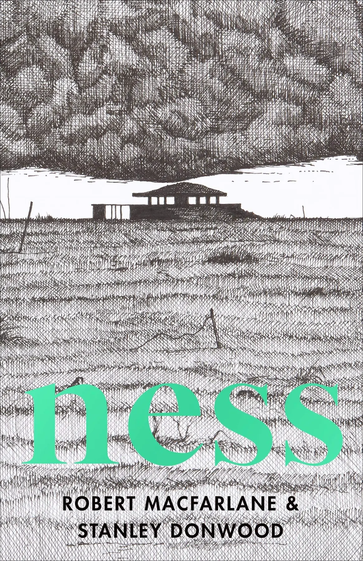 Ness - Robert Macfarlane, Stanley Donwood 1