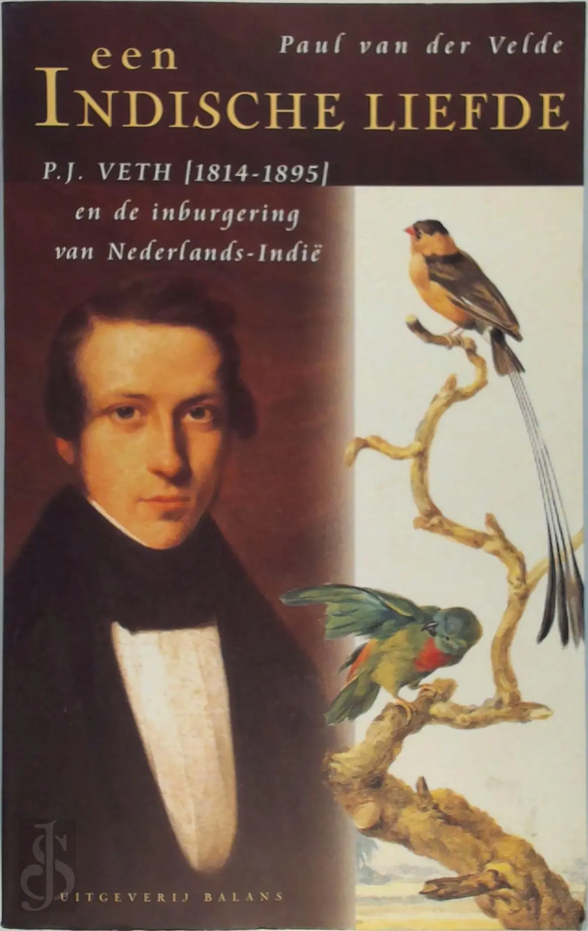 Een Indische liefde - Paul van der Velde 1