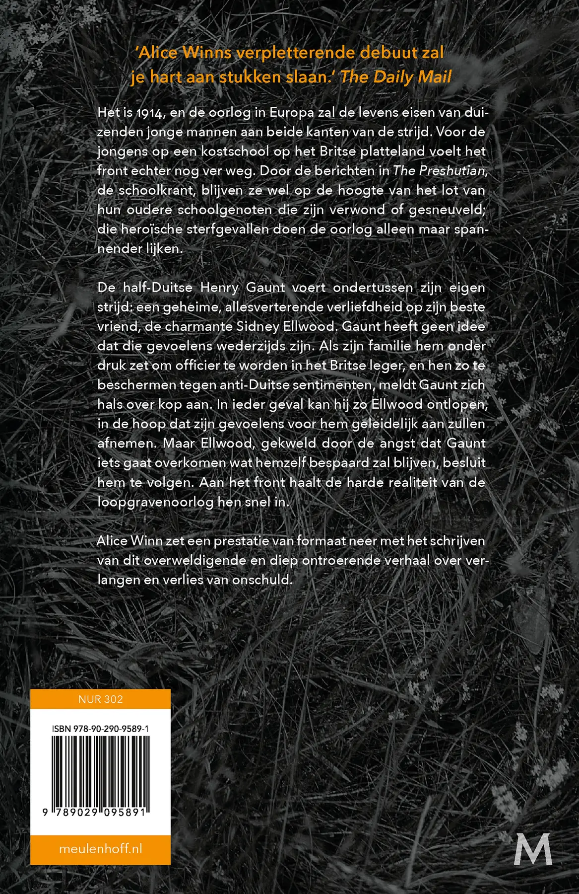 Door het grote vuur - Alice Winn 2