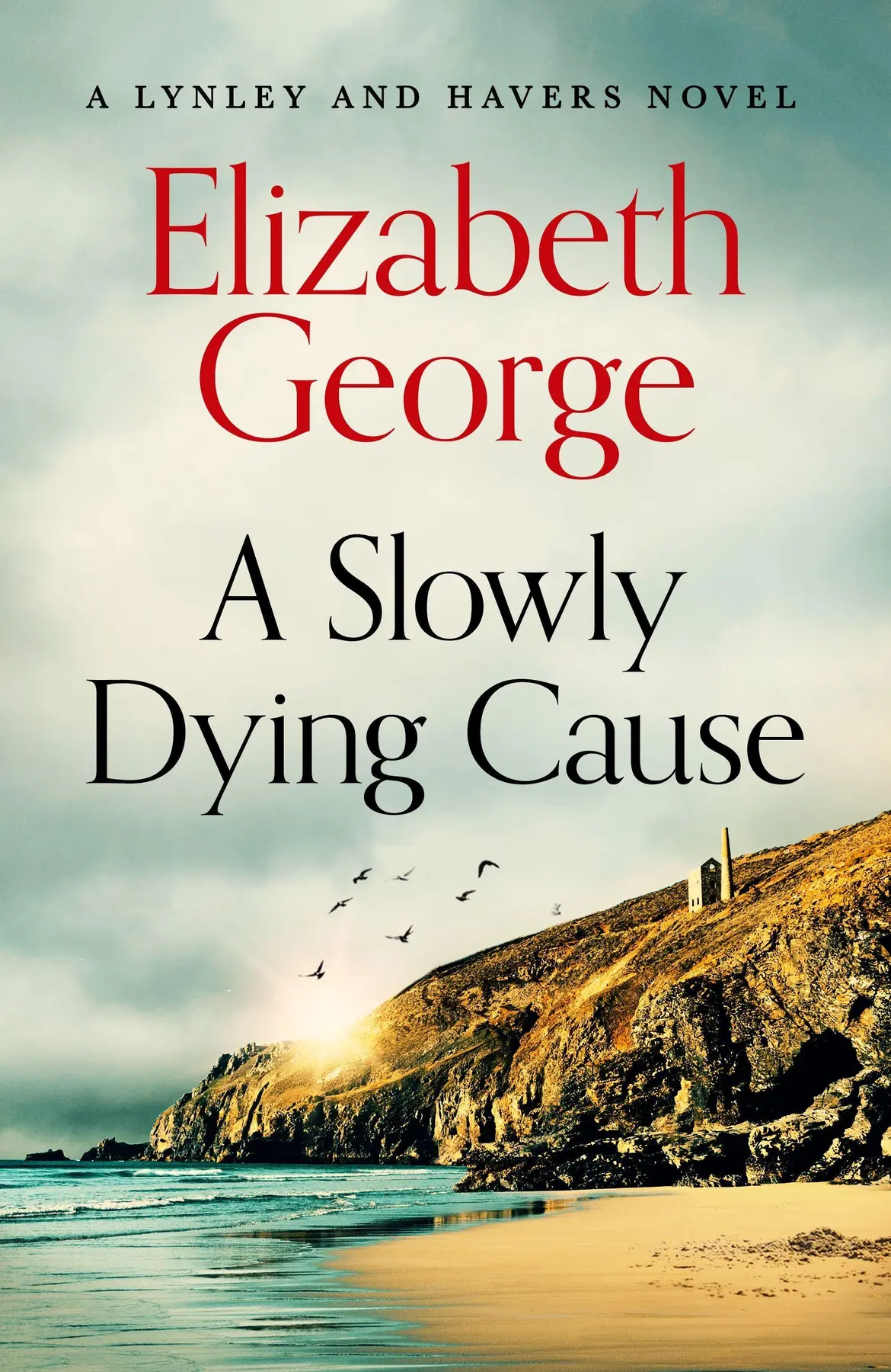 A Slowly Dying Cause - Elizabeth George 1