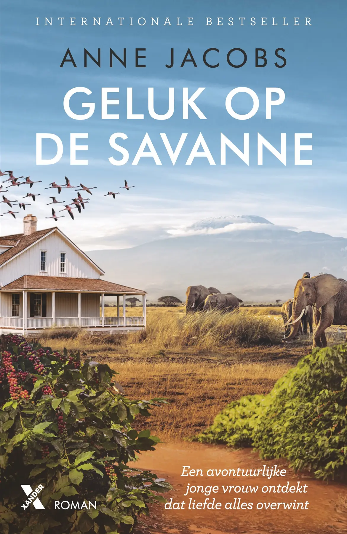 Geluk op de savanne - Anne Jacobs 1