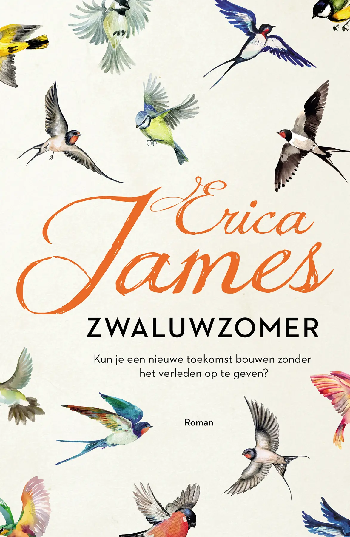 Zwaluwzomer - Erica James 1