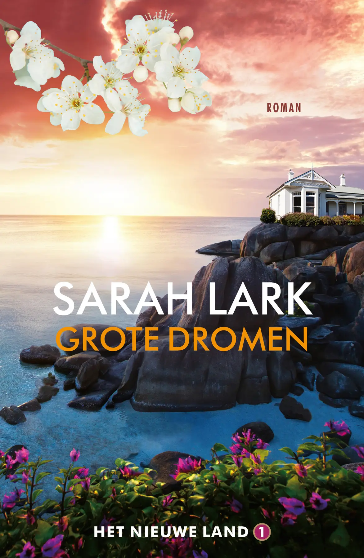 Grote dromen - Sarah Lark 1