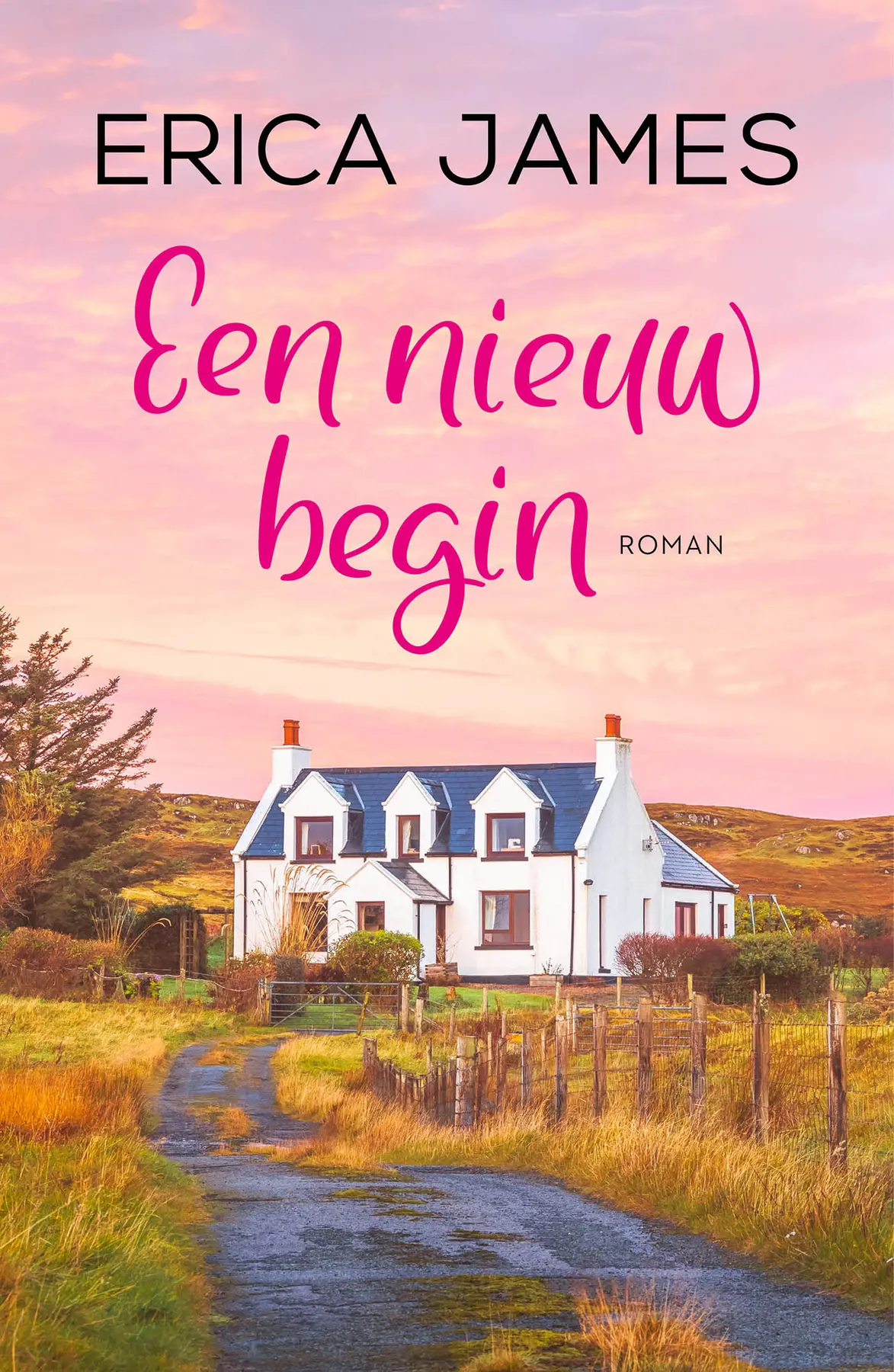 Een nieuw begin - Erica James 1