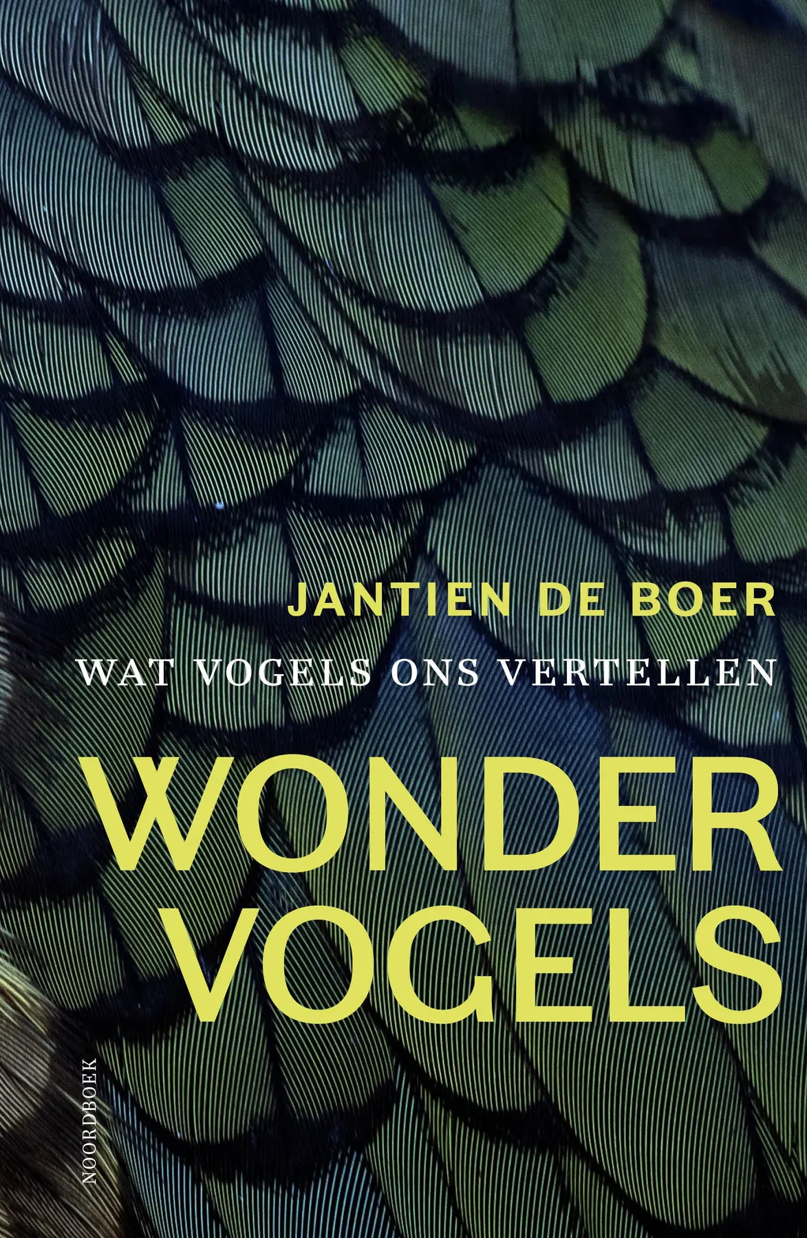 Wondervogels - Jantien de Boer 1