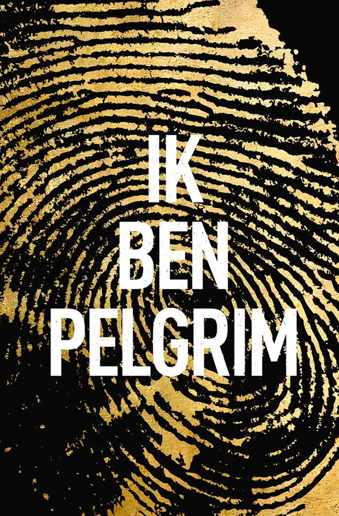 i am pilgrim movie cast