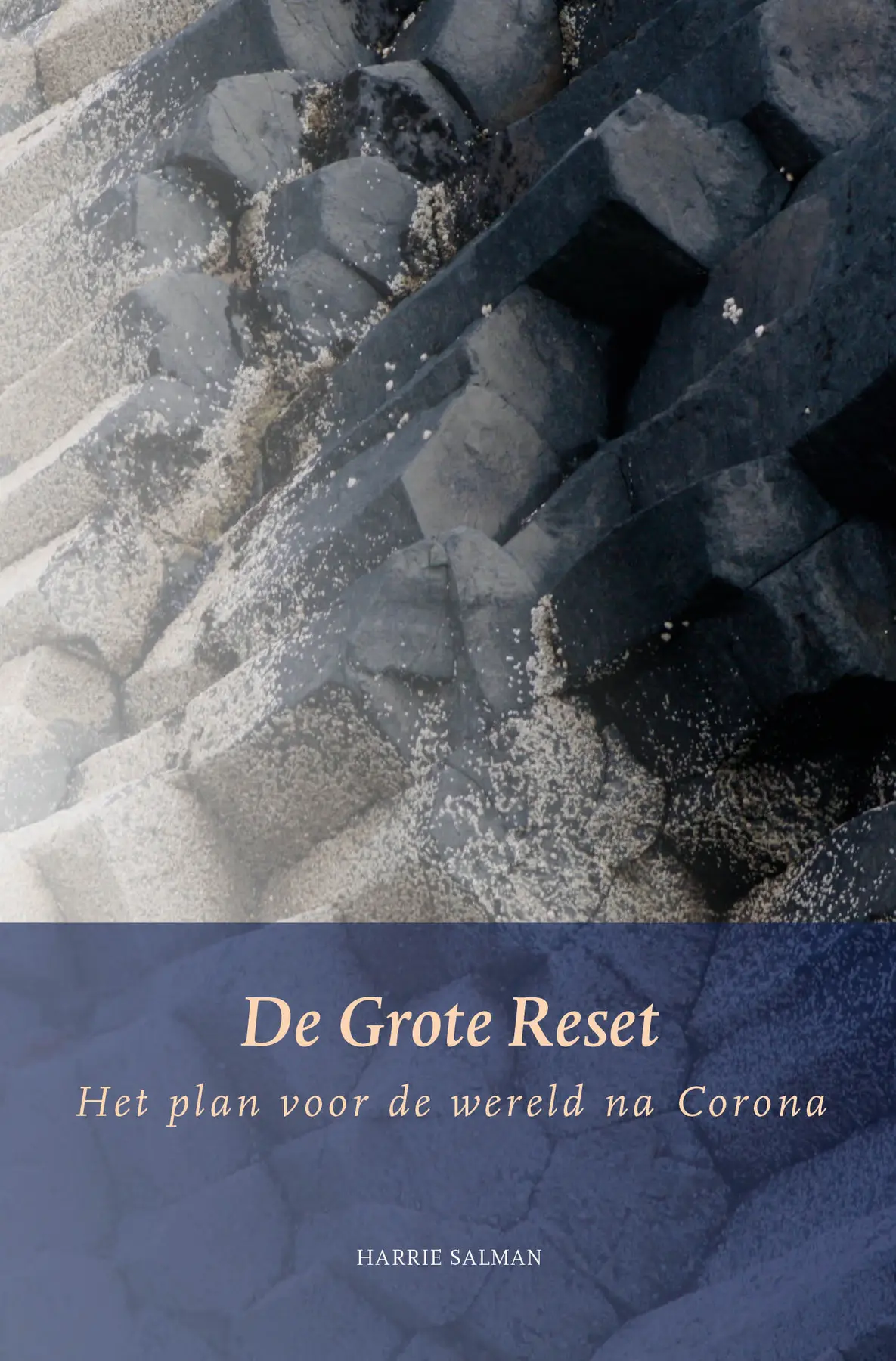 De grote reset - Harrie Salman 1