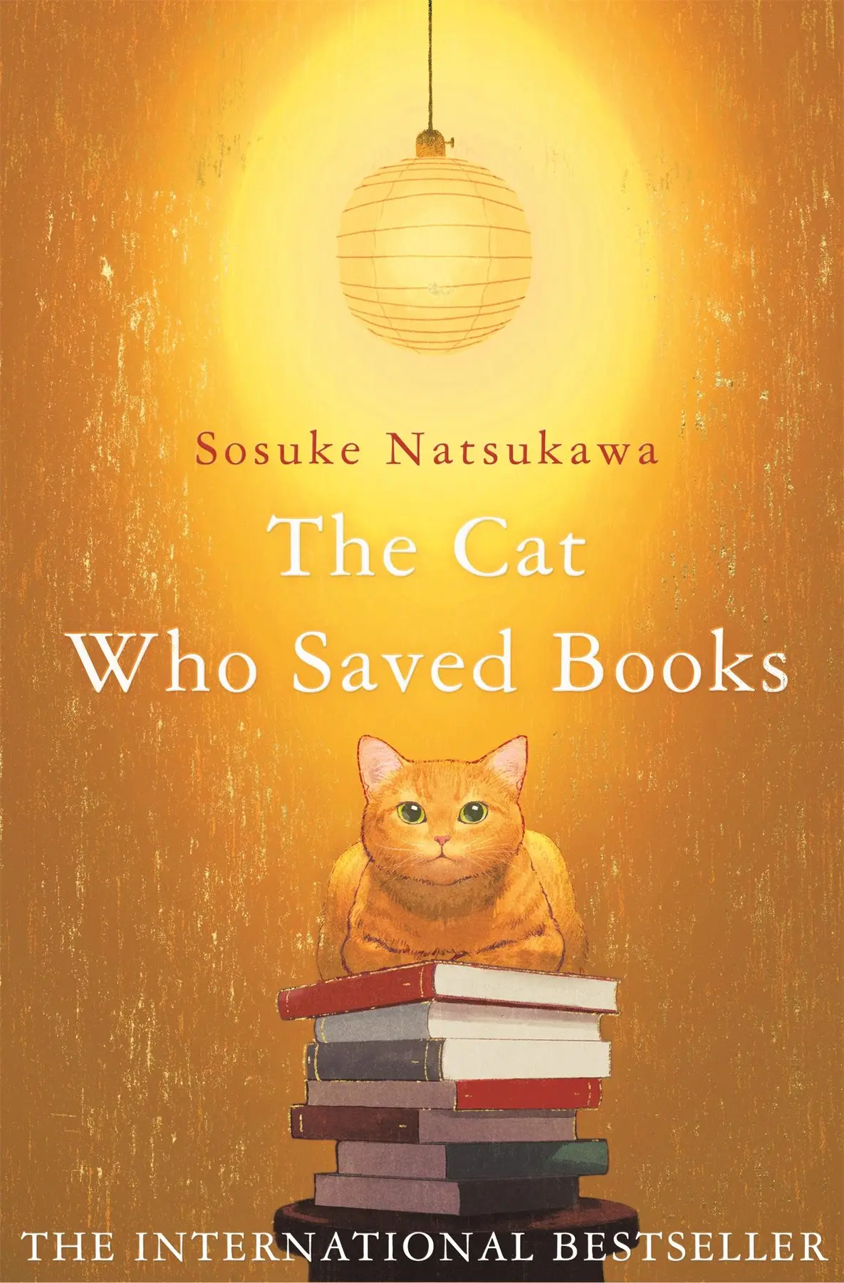 The Cat Who Saved Books - Sosuke Natsukawa 1