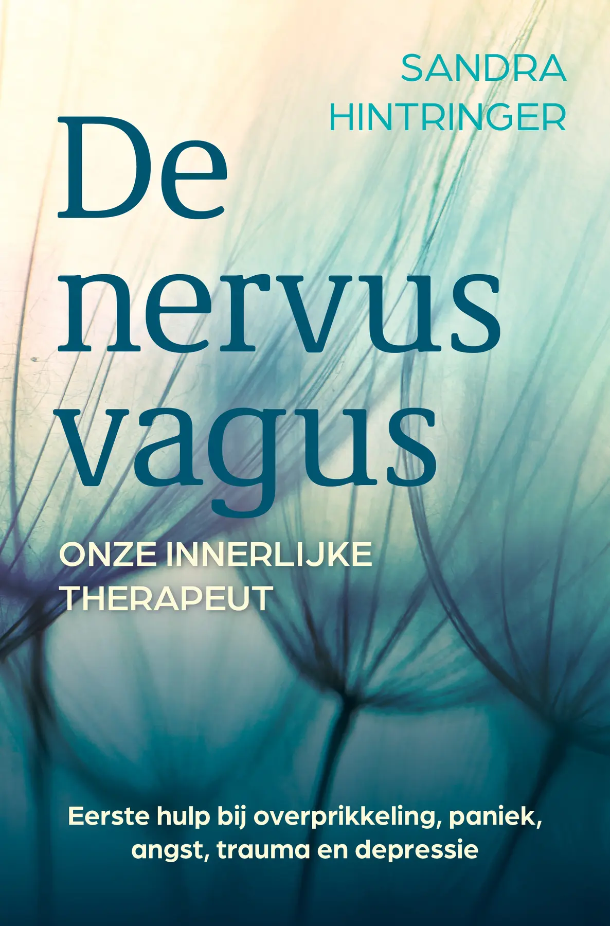 De nervus vagus, onze innerlijke therapeut - Sandra Hintringer 1