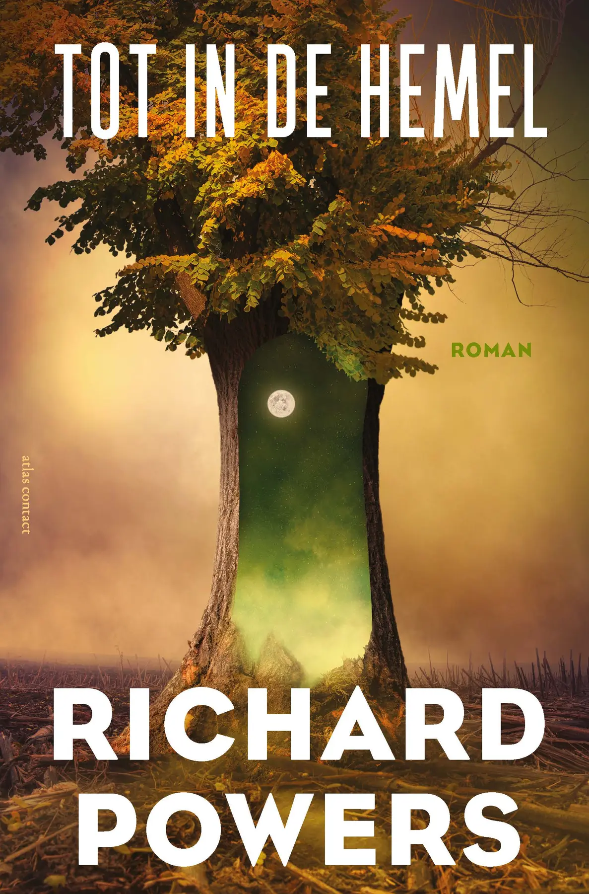 Tot in de hemel - Richard Powers 1