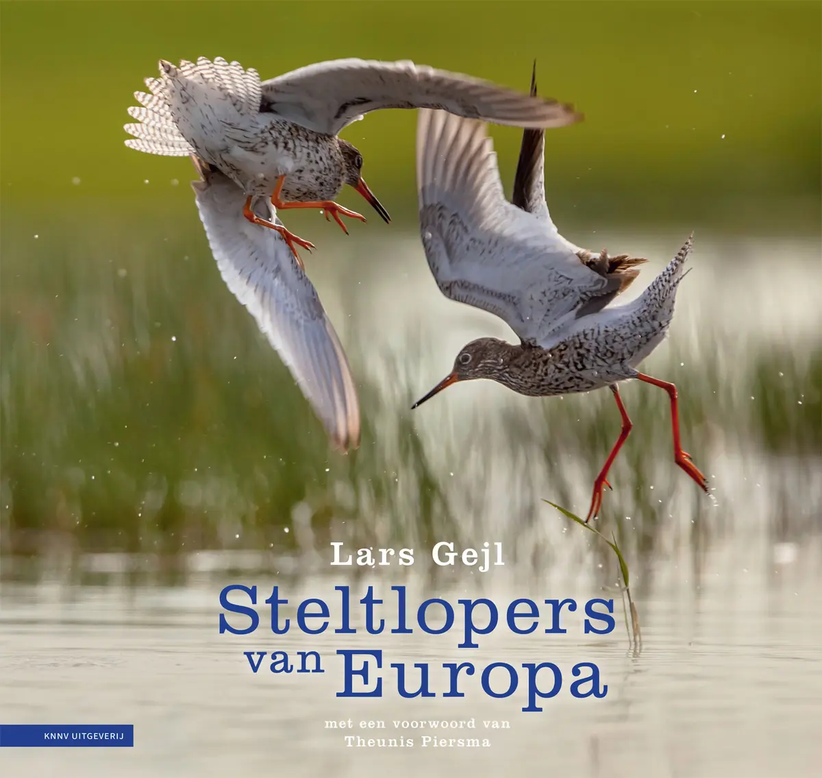 Steltlopers van Europa - Lars Gejl 1