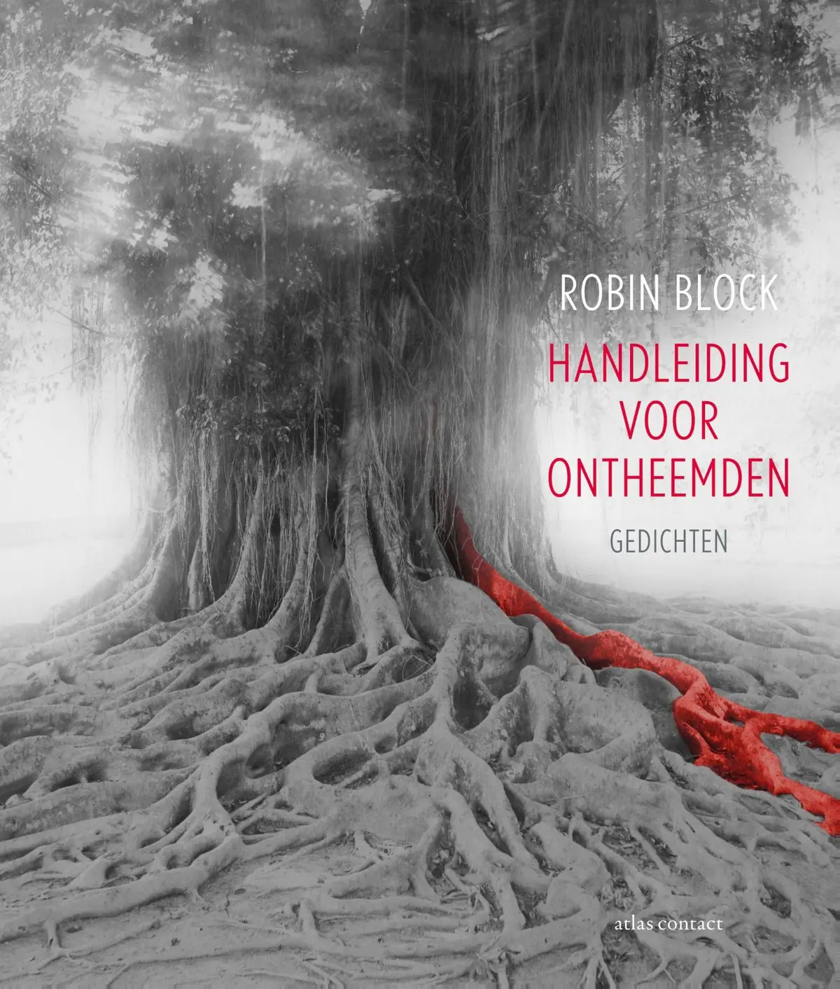 Handleiding voor Ontheemden - Robin Block 1