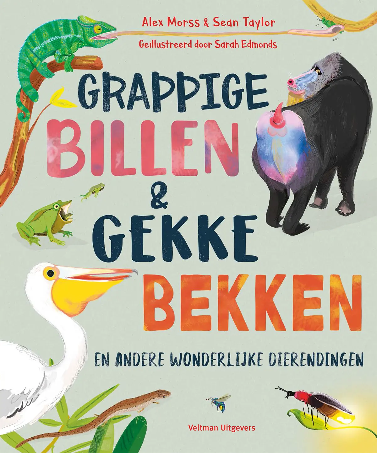 Grappige billen & gekke bekken - Alex Morss 1