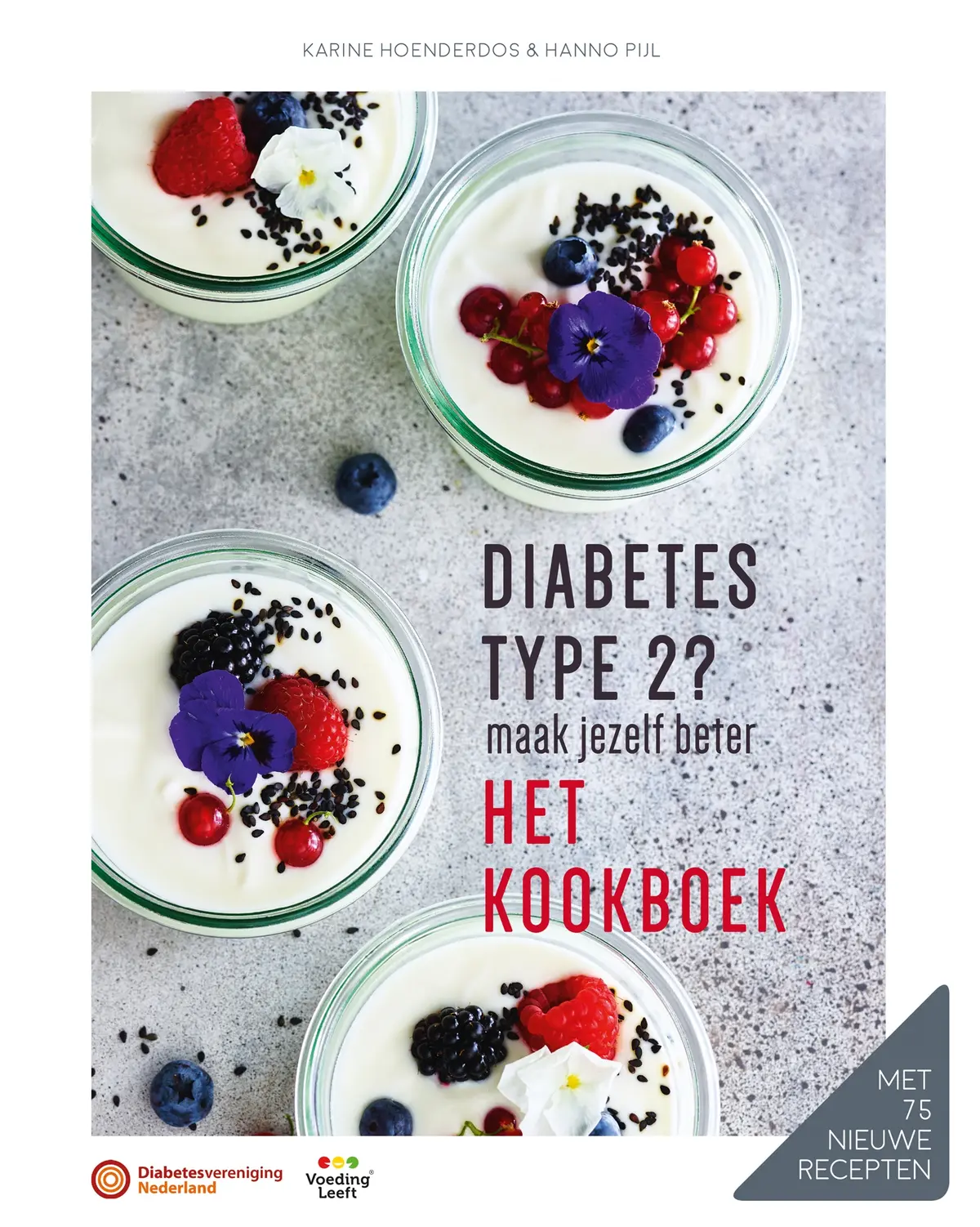 Diabetes type 2? Maak jezelf beter - Karine Hoenderdos, Hanno Pijl 1