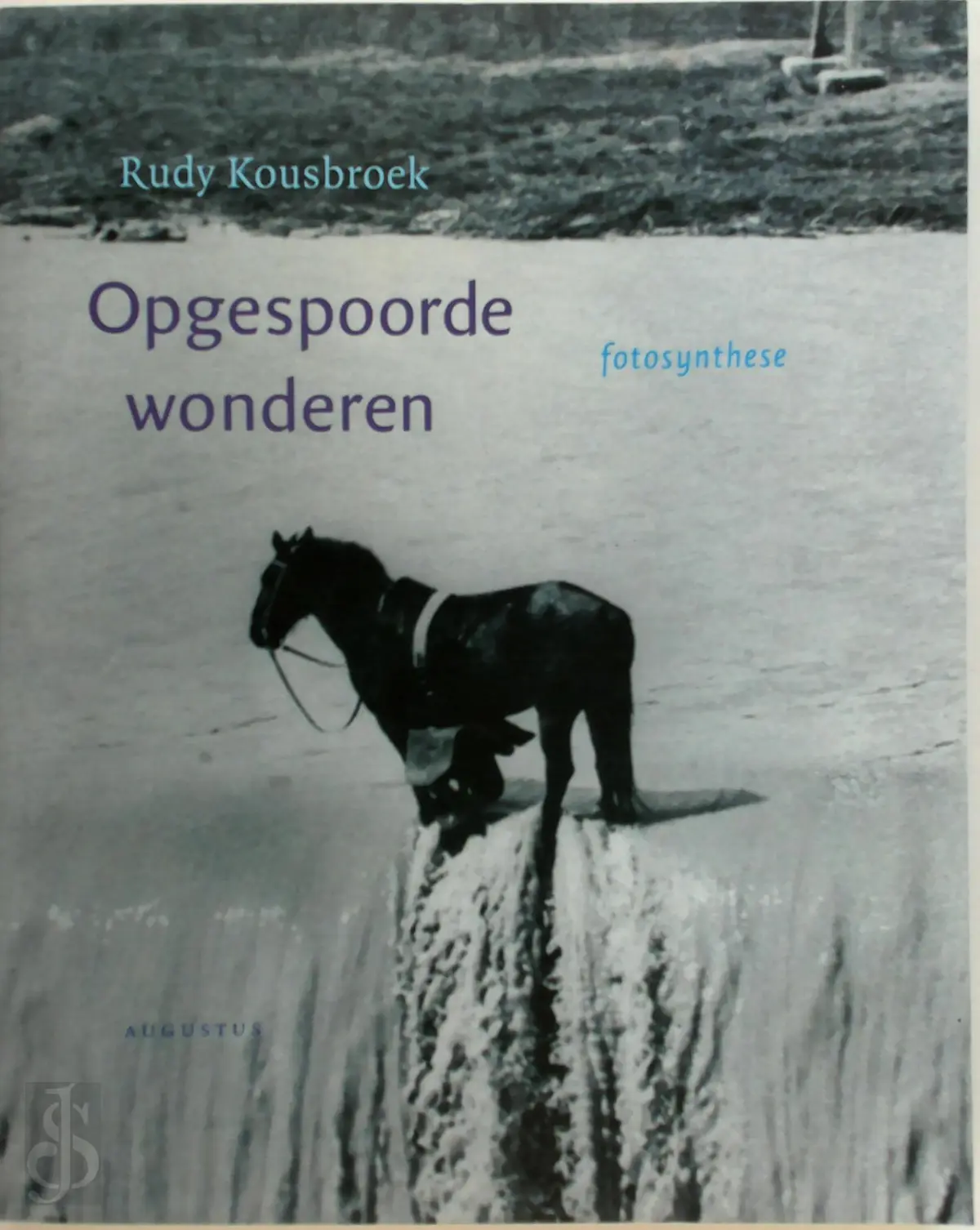 Opgespoorde wonderen - R. Kousbroek 1