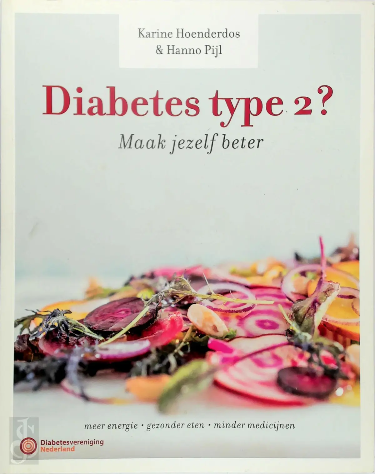 Diabetes type 2? Maak jezelf beter! - Hanno Pijl, Karine Hoenderdos 1