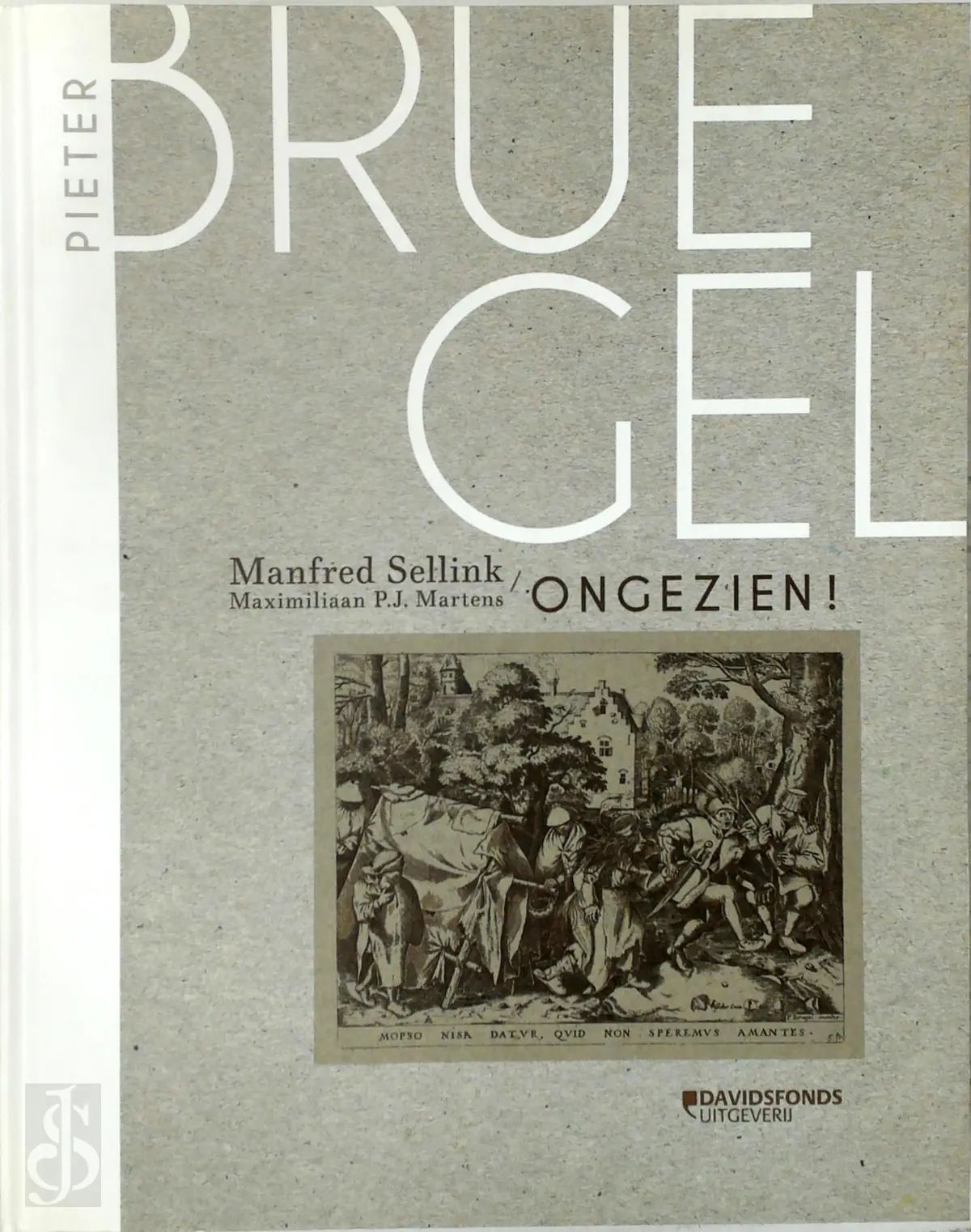Bruegel ongezien - Manfred Sellink 1