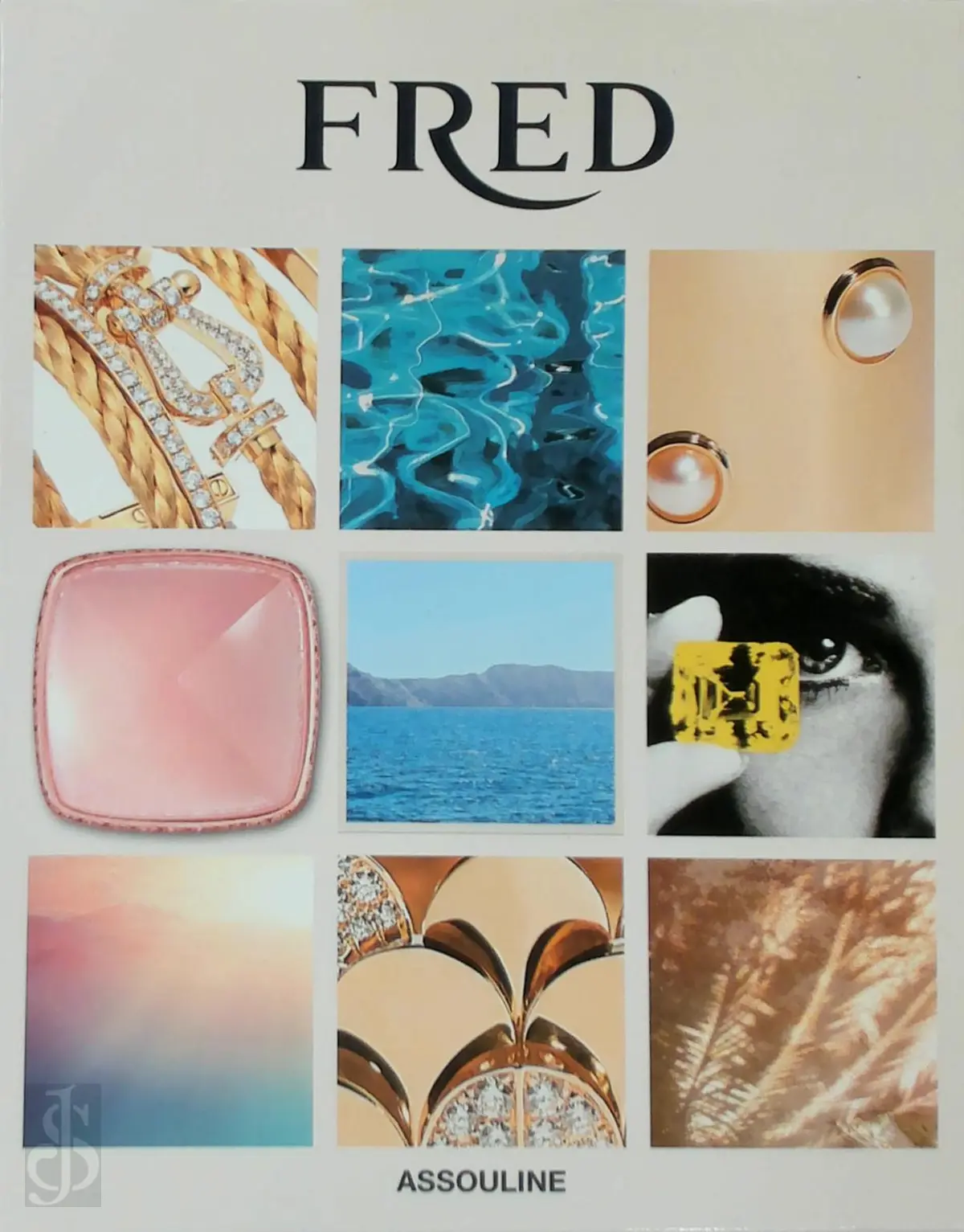 Fred Joaillier by Fred Samuel - Fabienne Reybaud 1