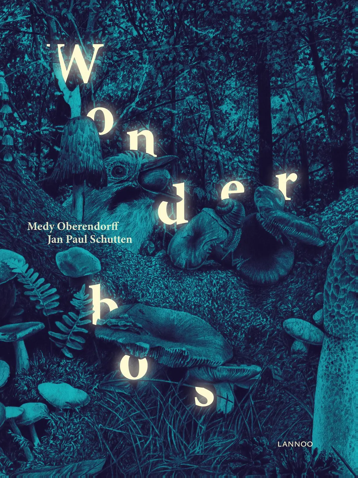 Wonderbos - Jan Paul Schutten 1