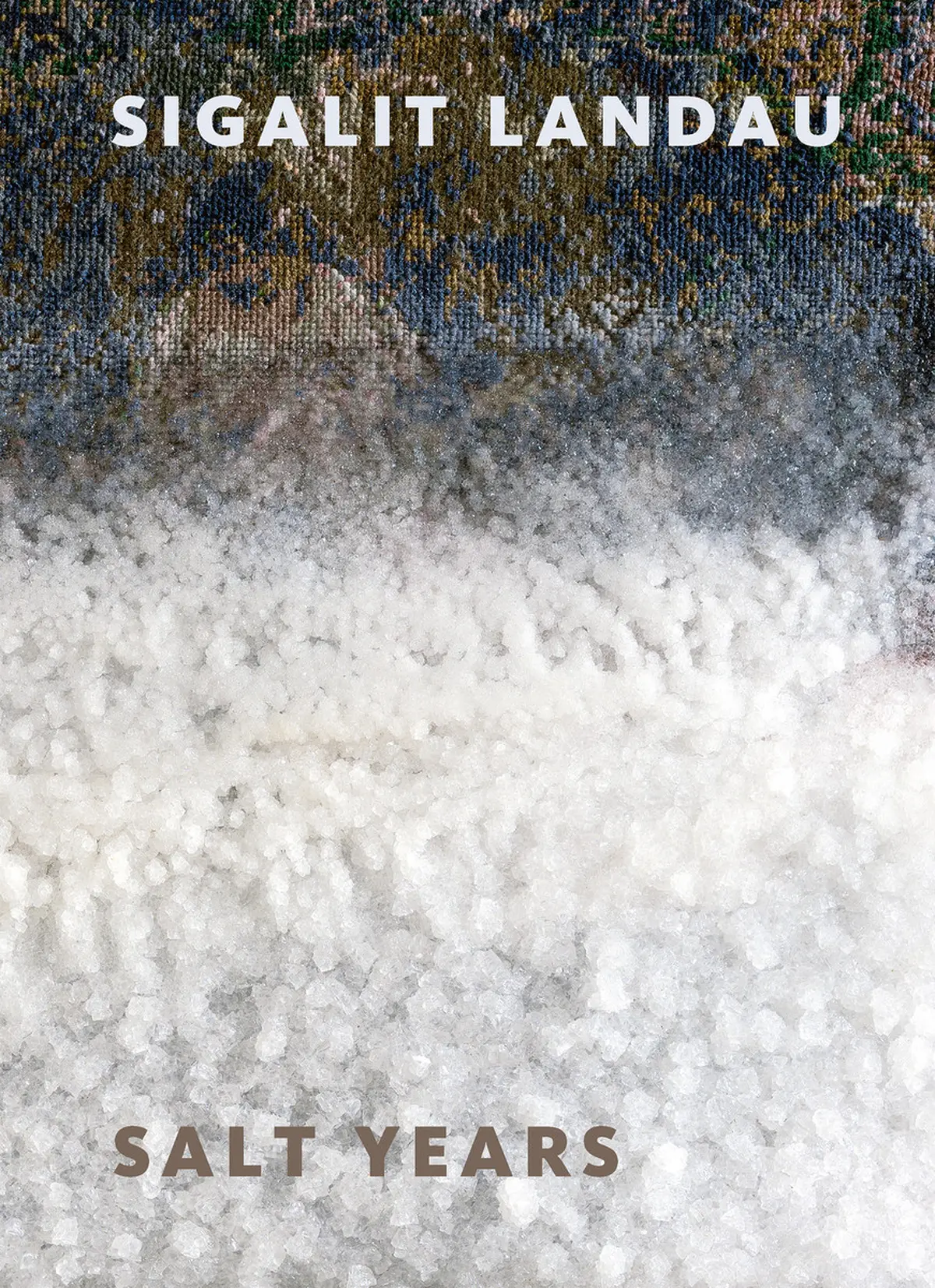 Sigalit Landau: Salt Years - Amitai Mendelsohn, Dalia Manor, David