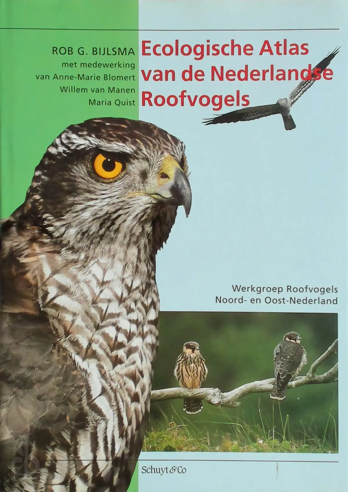Ecologische atlas van de Nederlandse roofvogels - Rob G. Bijlsma, Anne-Marie Blomert 1