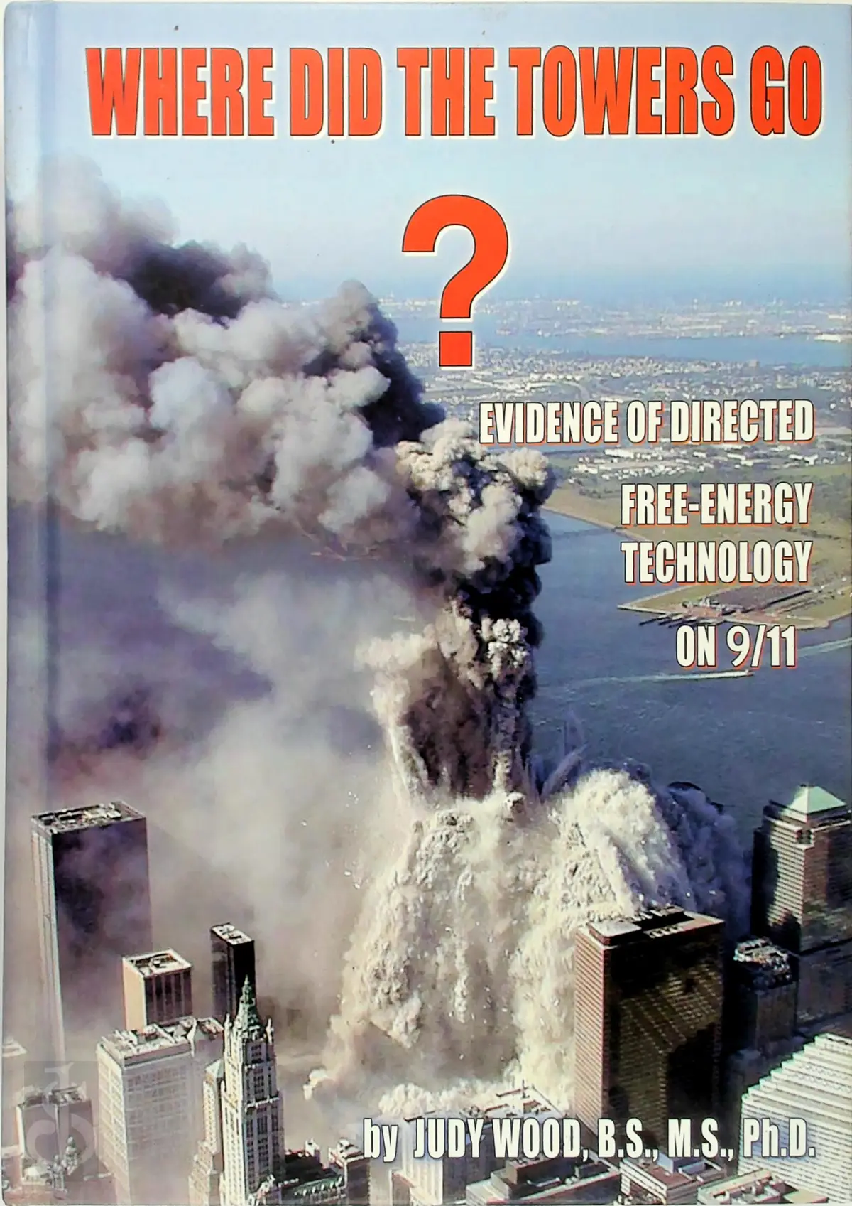 Where Did the Towers Go? - Judy D. Wood 1