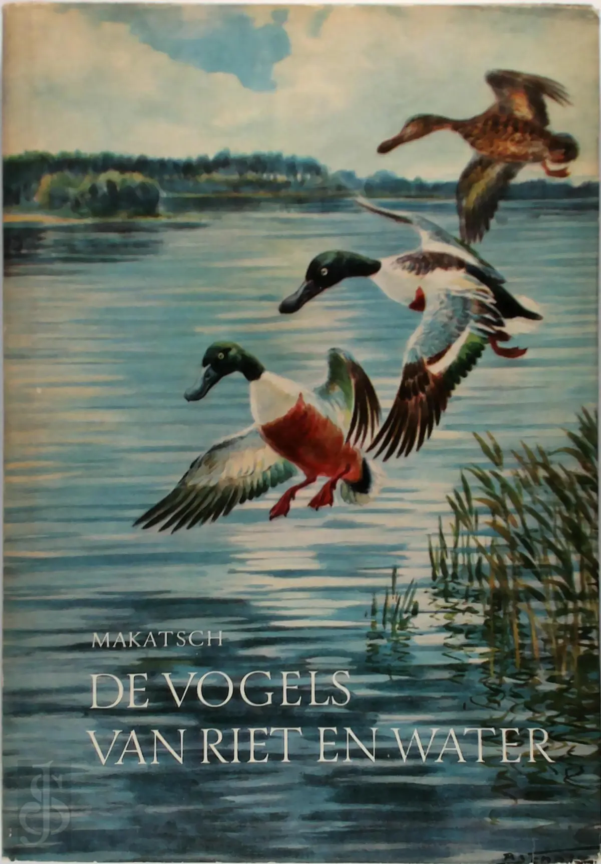 De vogels van riet en water - Wolfgang Makatsch 1
