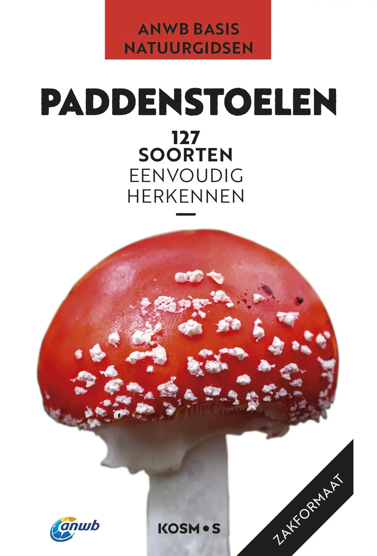 Paddenstoelen - Markus Flück 1