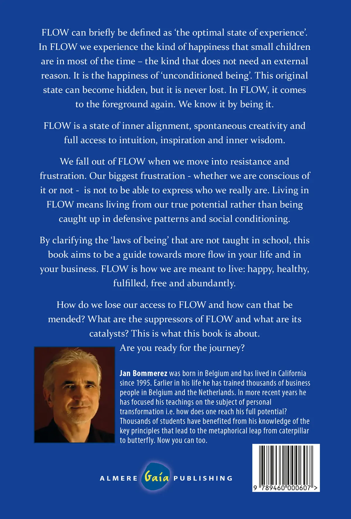 Seven insights for more flow in your business and your life - Jan Bommerez 2