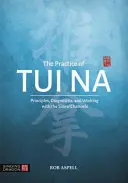 The Practice of Tui Na - Robert Aspell 1
