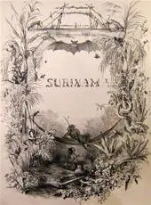 Voyage a Surinam, description des possessions Néerlandaises dans la Guyane - P.J. Benoit 1