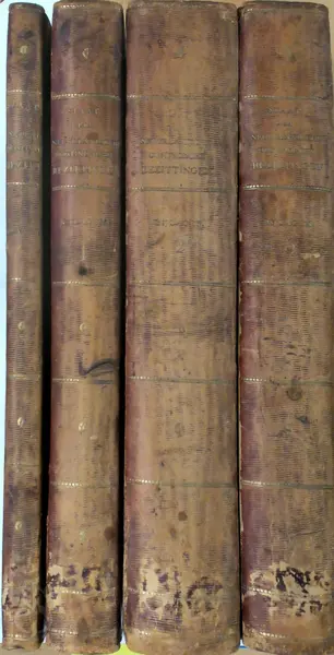Staat der Nederlandsche Oostindische bezittingen, onder het bestuur van den Gouveneur-Generaal Herman Willem Daendels ... in de jaren 1808-1811 - Herman Willem Daendels