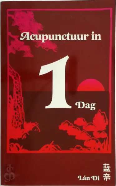Acupunctuur in een dag - P.C. van Kervel