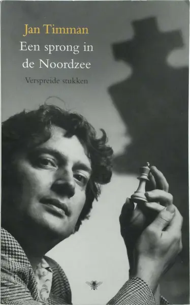 Een sprong in de Noordzee - Jan Timman