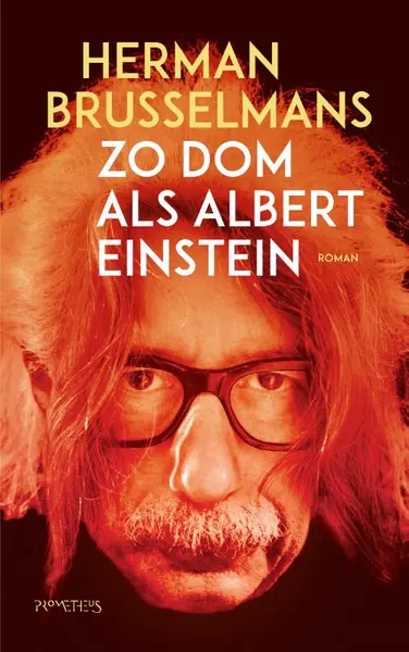 Zo dom als Albert Einstein - Herman Brusselmans