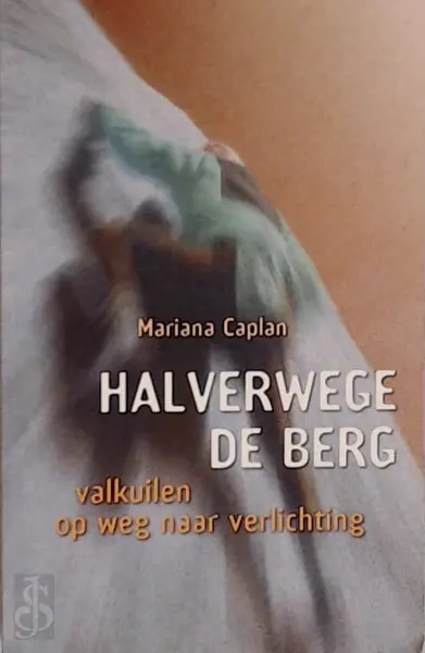 Halverwege de berg: Valkuilen op weg naar verlichting - Mariana Caplan