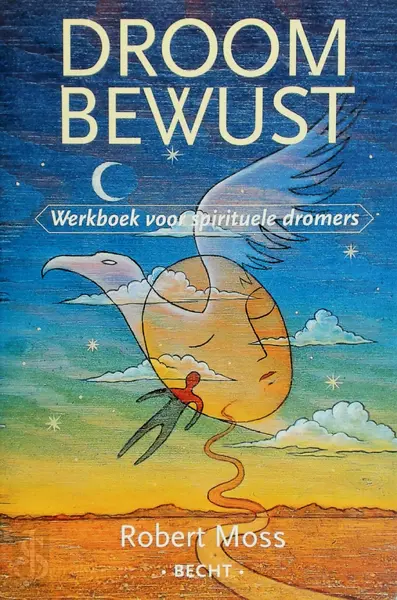 Droom bewust: Werkboek voor spirituele dromers - Robert Moss
