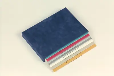 Stadscollectie Den Haag - 