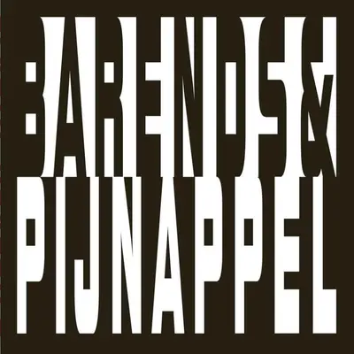 Elastic graphics - Henrik Barends, Anneke Pijnappel, Eric Min