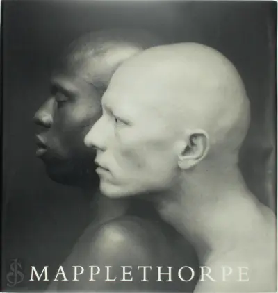 Mapplethorpe - Robert Mapplethorpe, Arthur Coleman Danto