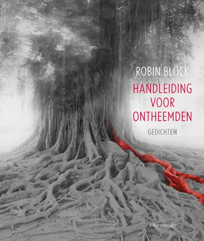 Handleiding voor Ontheemden - Robin Block